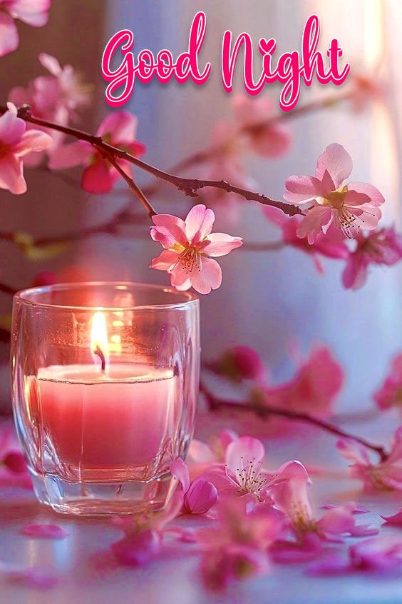 good night image with candle and flower