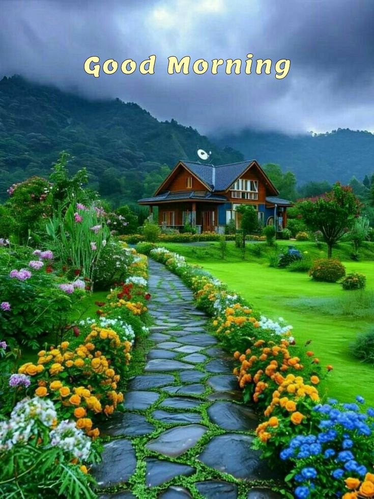 nature beautiful good morning photos