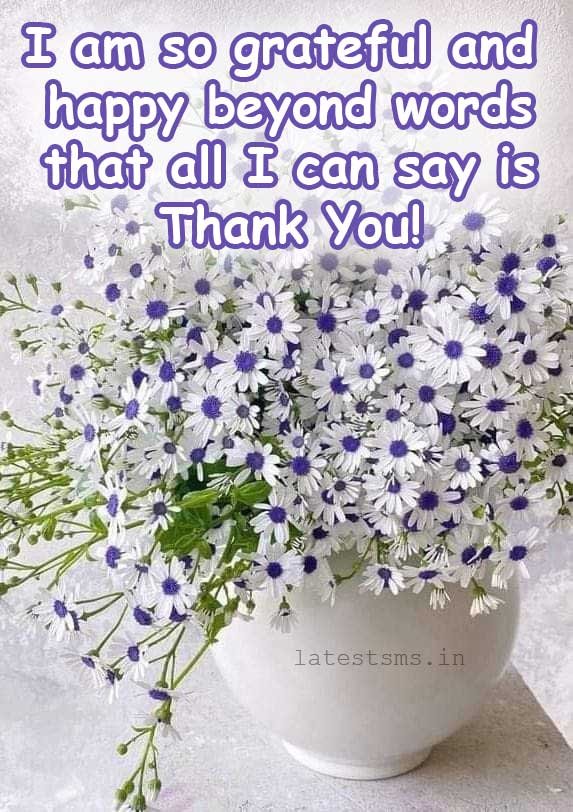 Appreciation thank you quotes