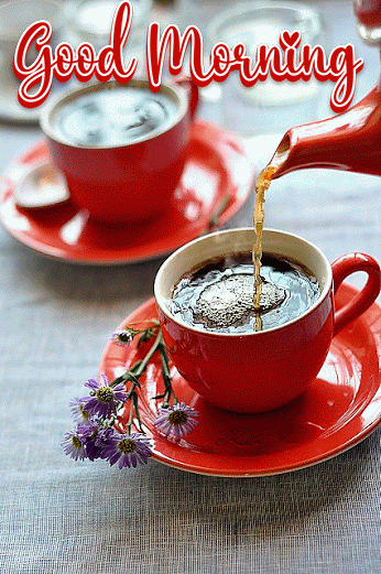 beautiful good morning GIF images for friends