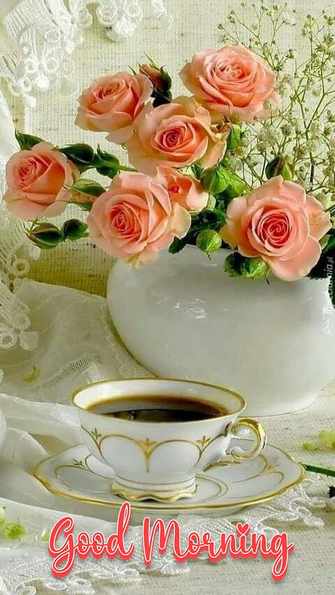 good morning my friend