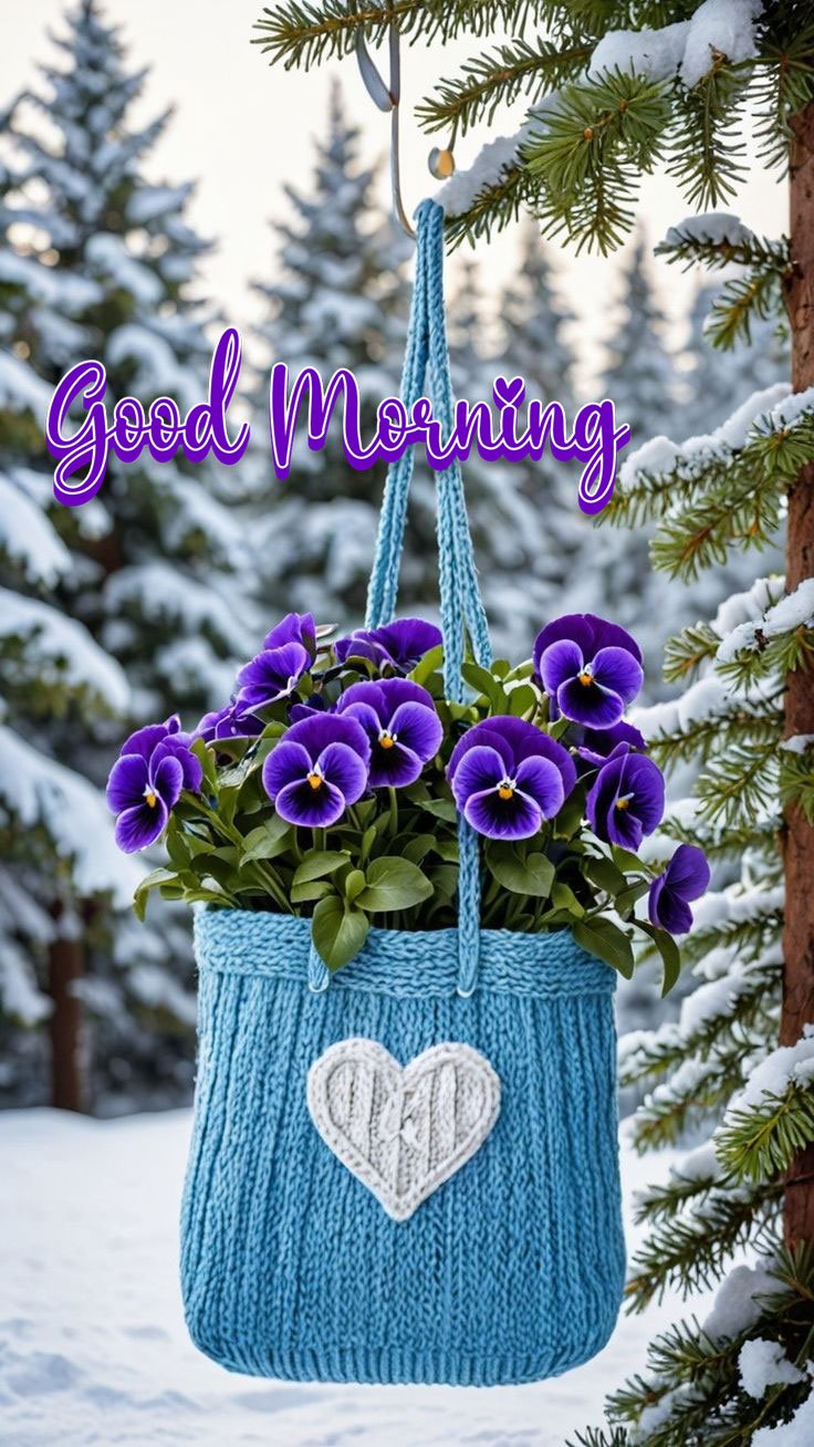 good morning pics for a friend