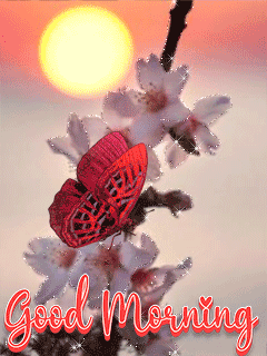 special good morning images for friends