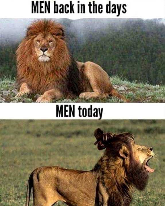 funny images for whatsapp