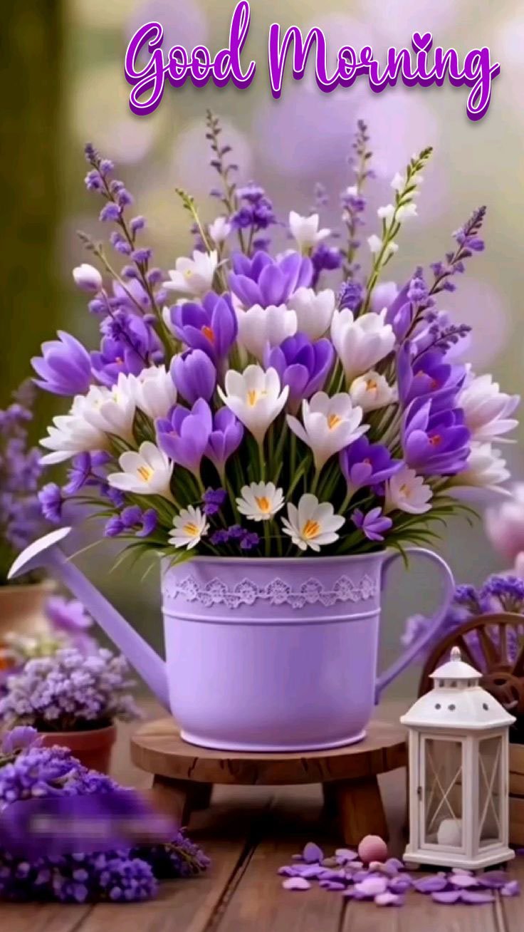 beautiful good morning images