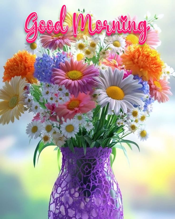 high quality good morning images new style for whatsapp