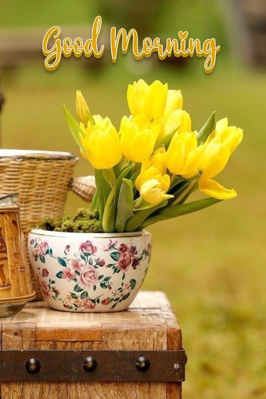 new cute good morning image