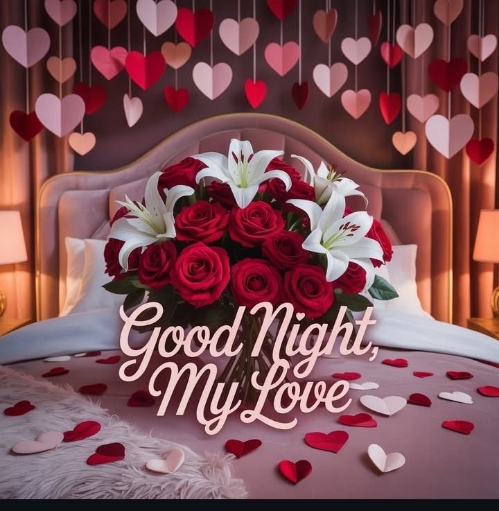 good night my love