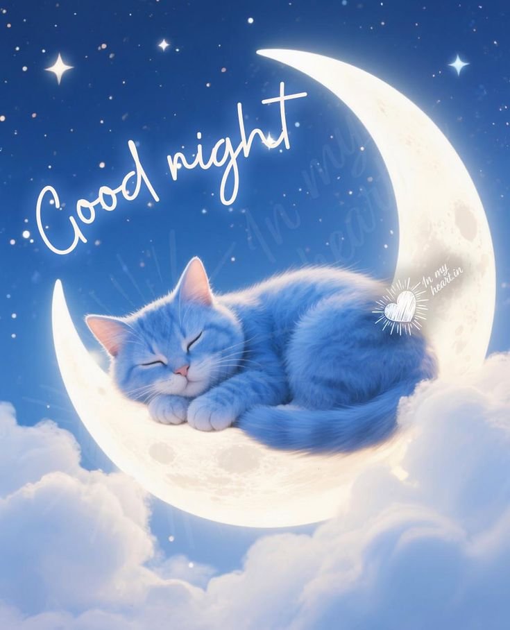 lovely good night images