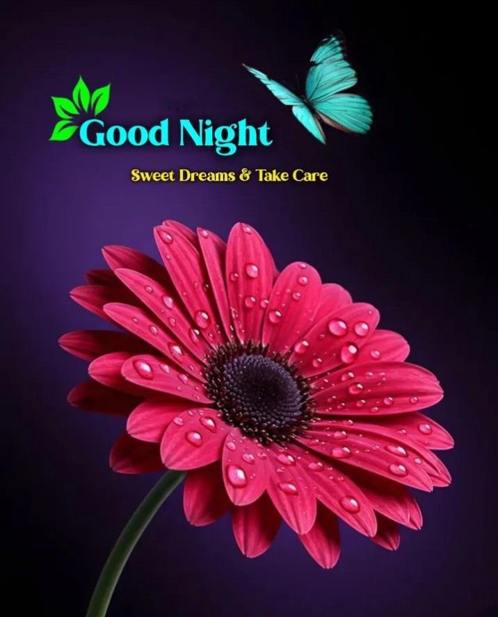 special good night images