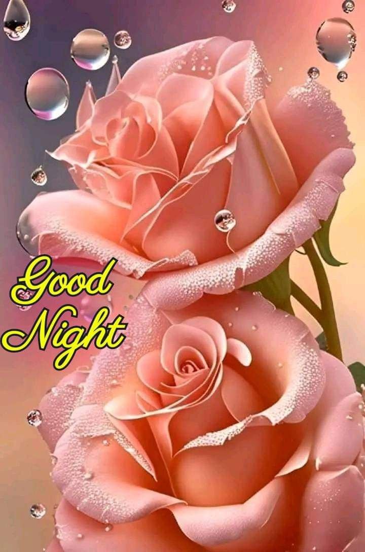 Beautiful Good Night Photo