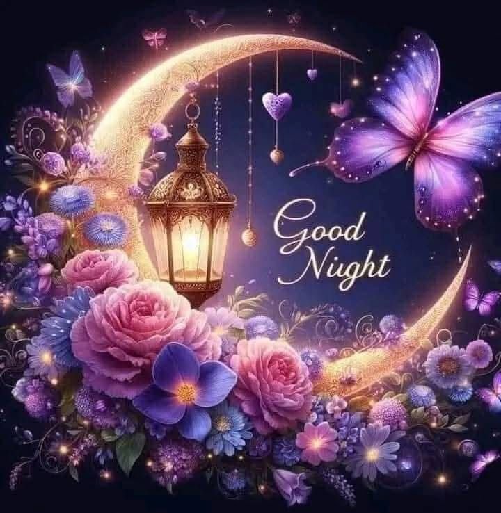 Beautiful Good Night Photo