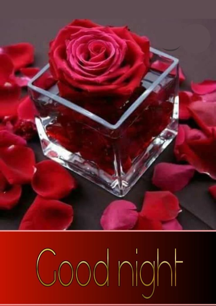Good night images new