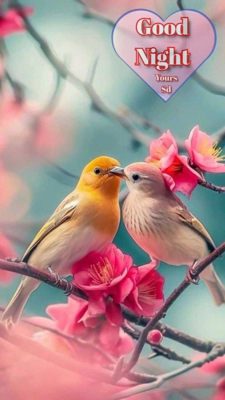 Good night images new