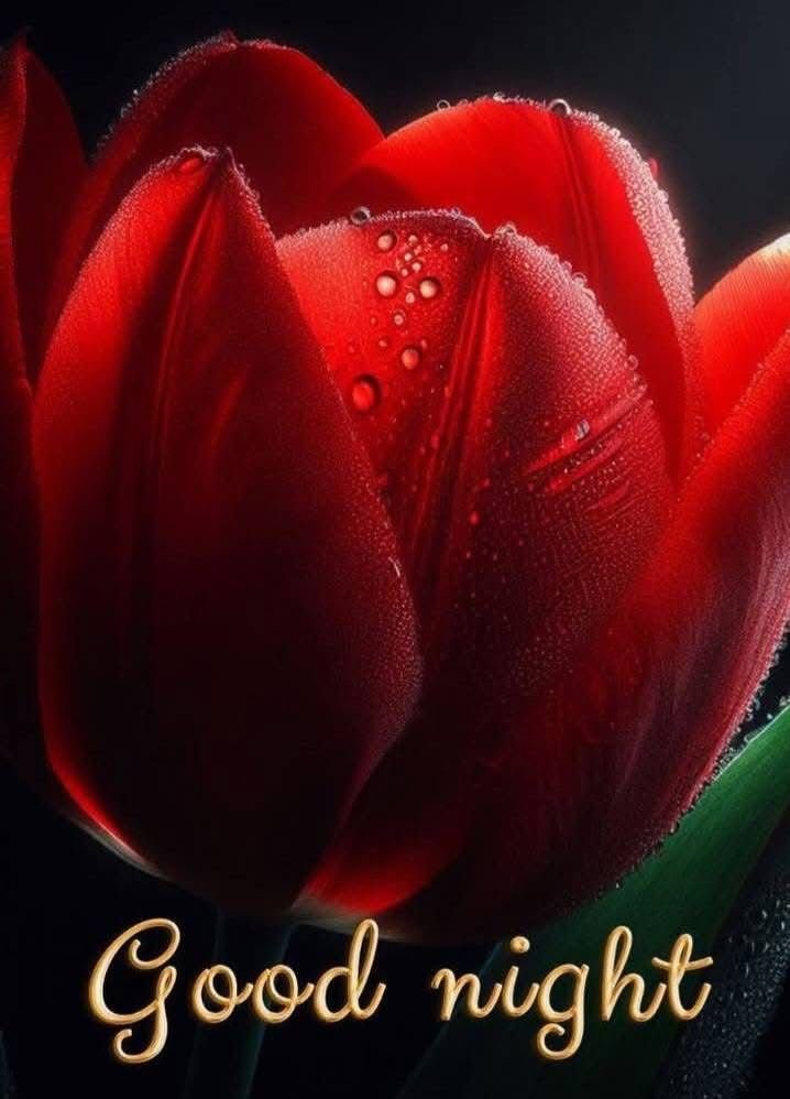 good night love pictures for her