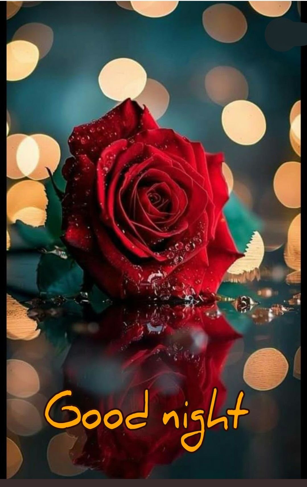 good night photos for love