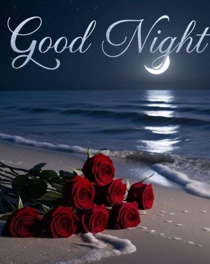 beautiful good night rose images