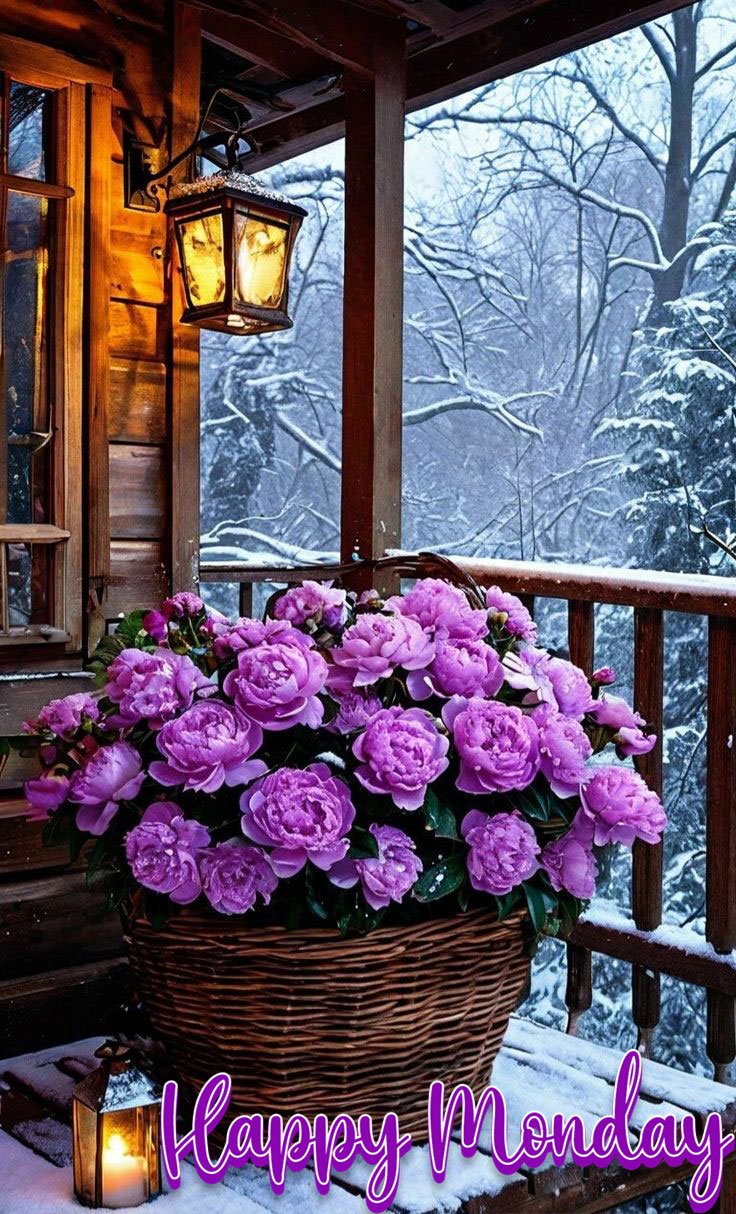 cute happy monday images