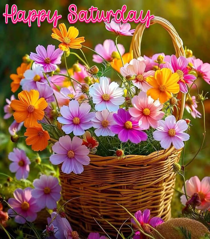 good morning saturday images for whatsapp