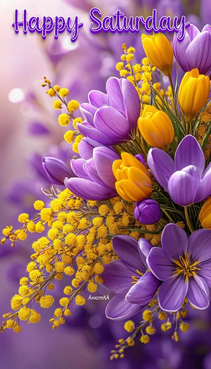 happy saturday images