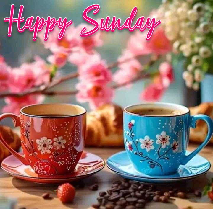 beautiful happy sunday