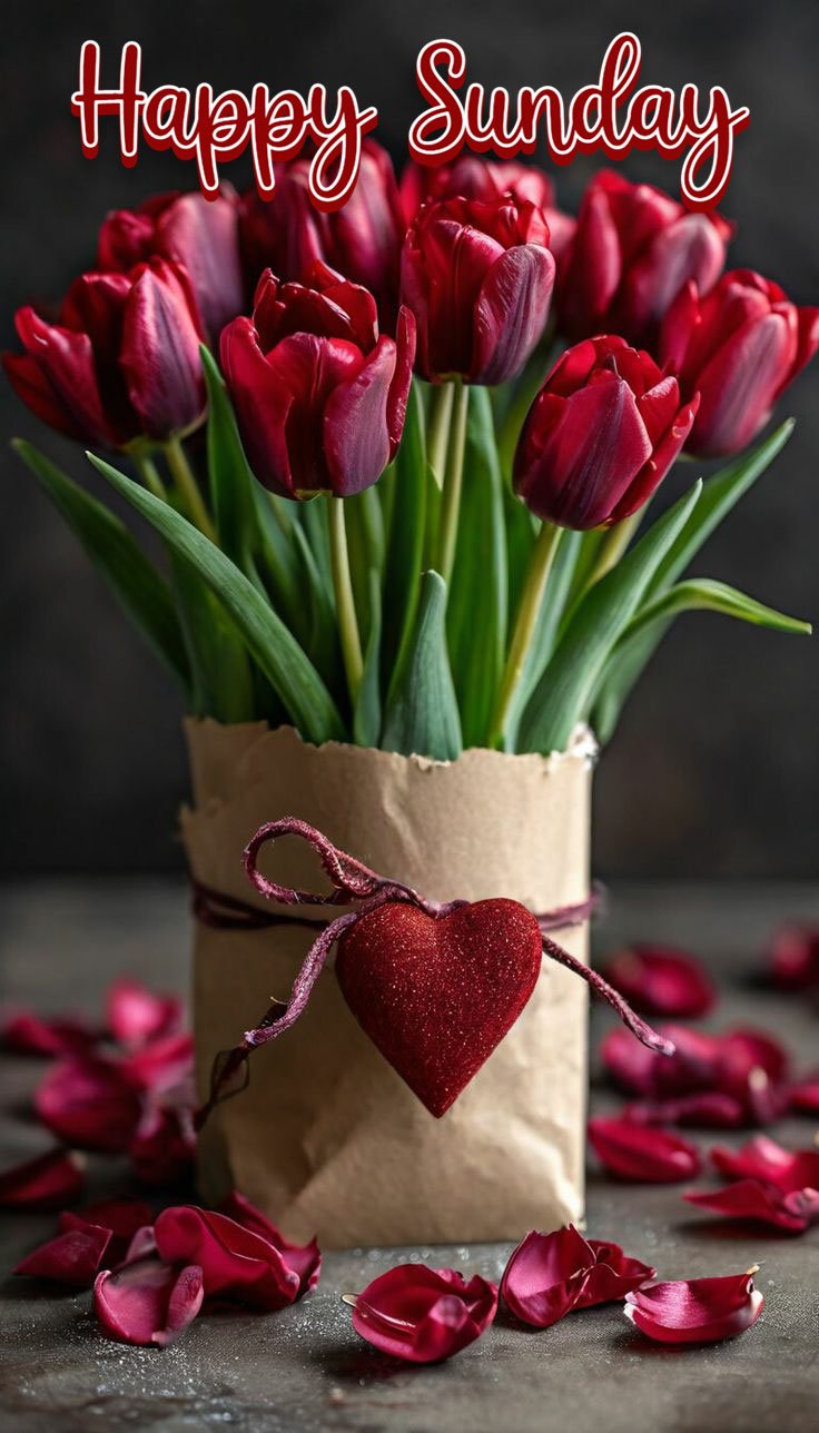 beautiful happy sunday