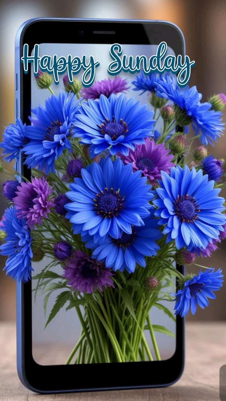 beautiful happy sunday