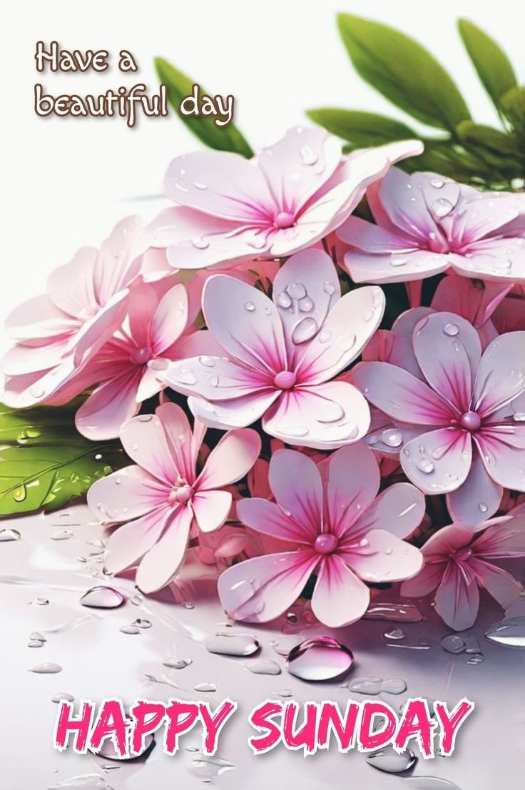 beautiful sunday images