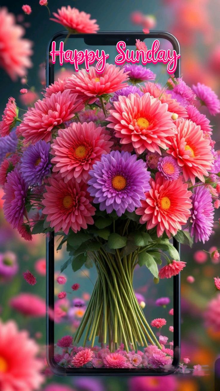 best happy sunday wishes