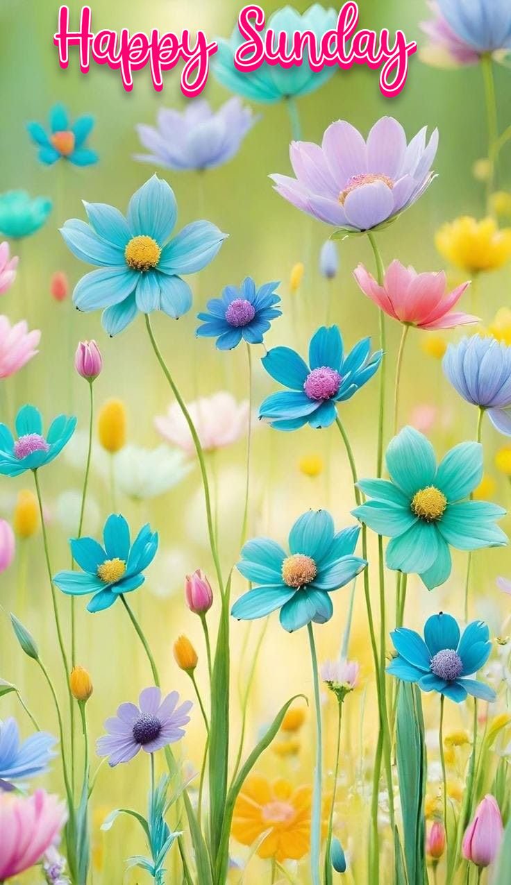 cute happy sunday images