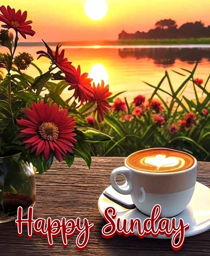 good morning happy sunday hd images