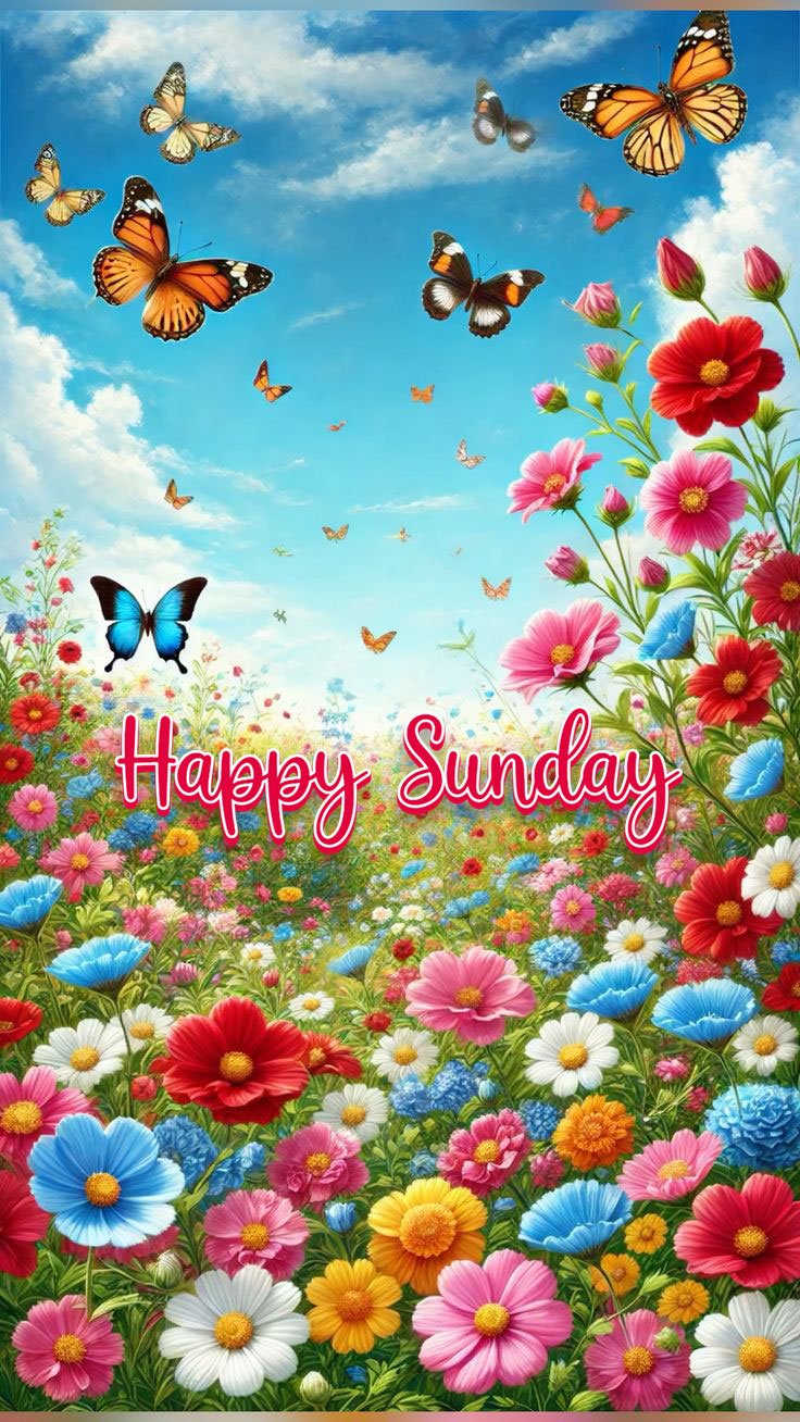 happy sunday beautiful images