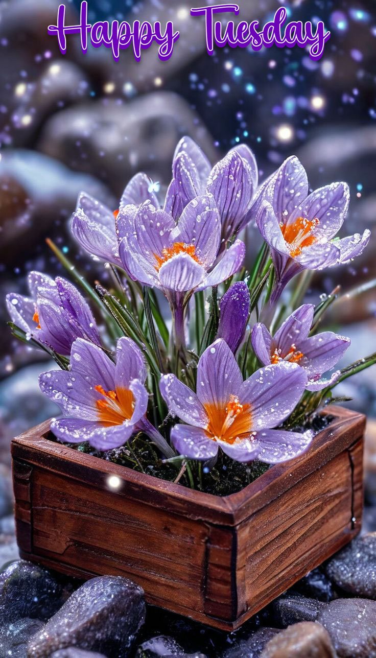 good morning happy thursday images