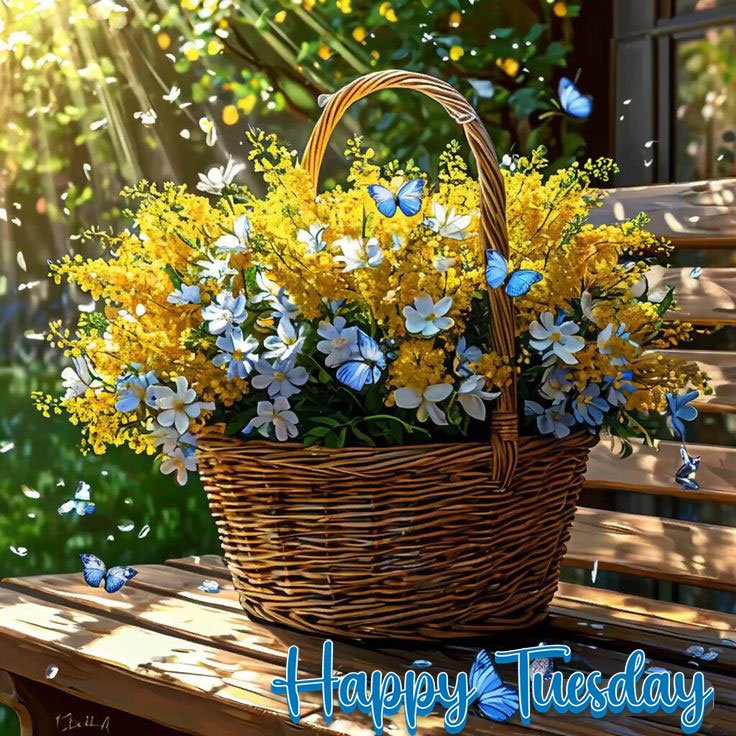 beautiful happy tuesday image