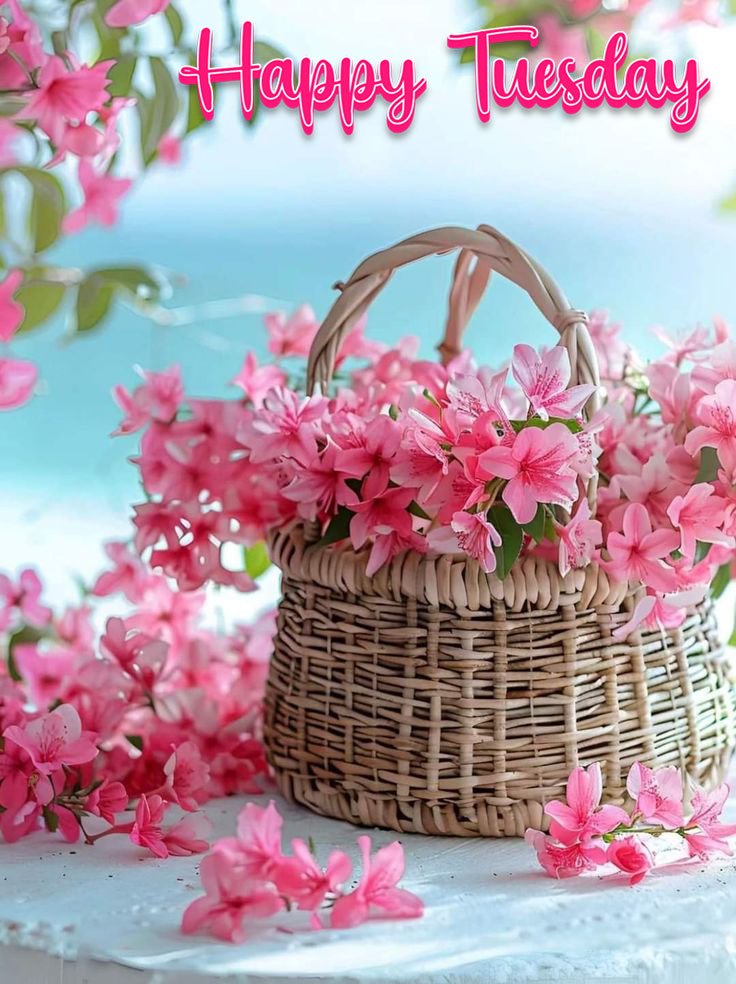 beautiful happy tuesday images