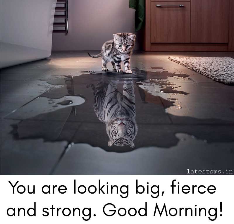 Hilarious good morning jokes for friends