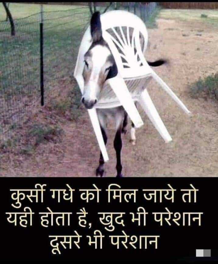 elections-2024-jokes