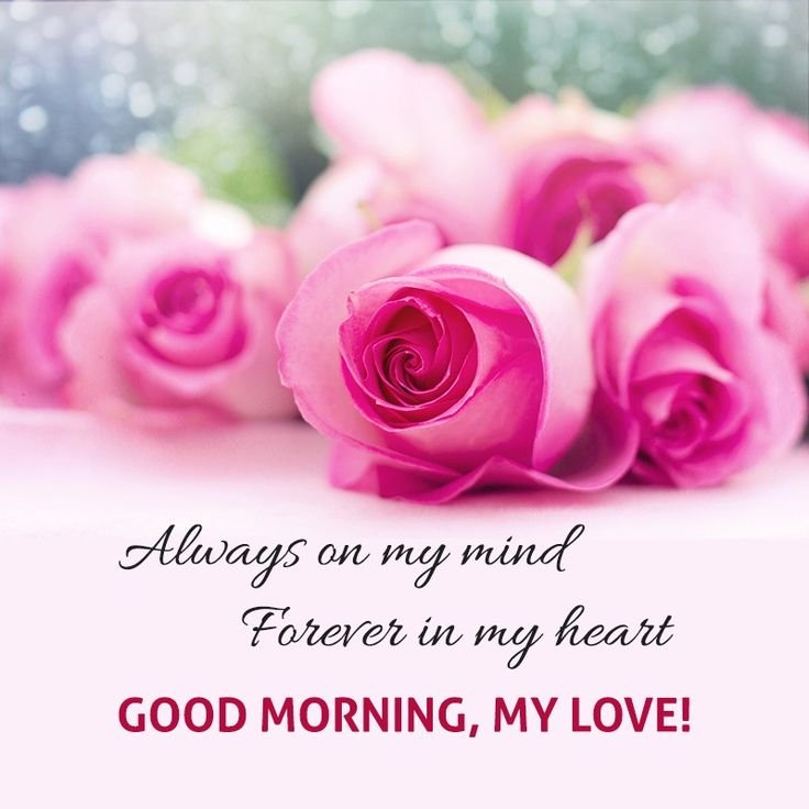 Good morning my love photos