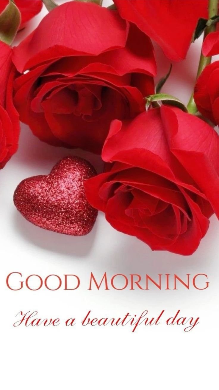 rose goo -morning love images