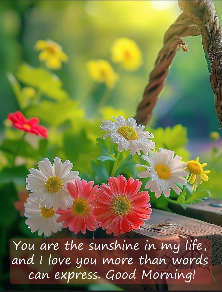 today special good morning images for wife