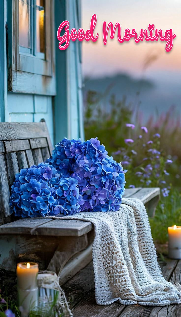 beautiful good morning flowers pictures for whatsapp