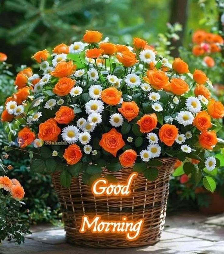 cute beautiful good morning images