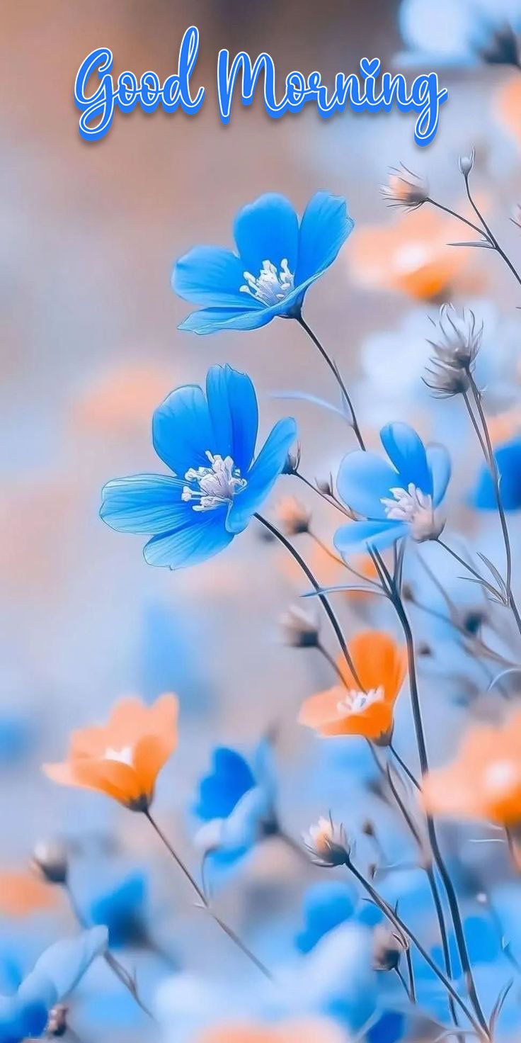 cute good morning flowers images