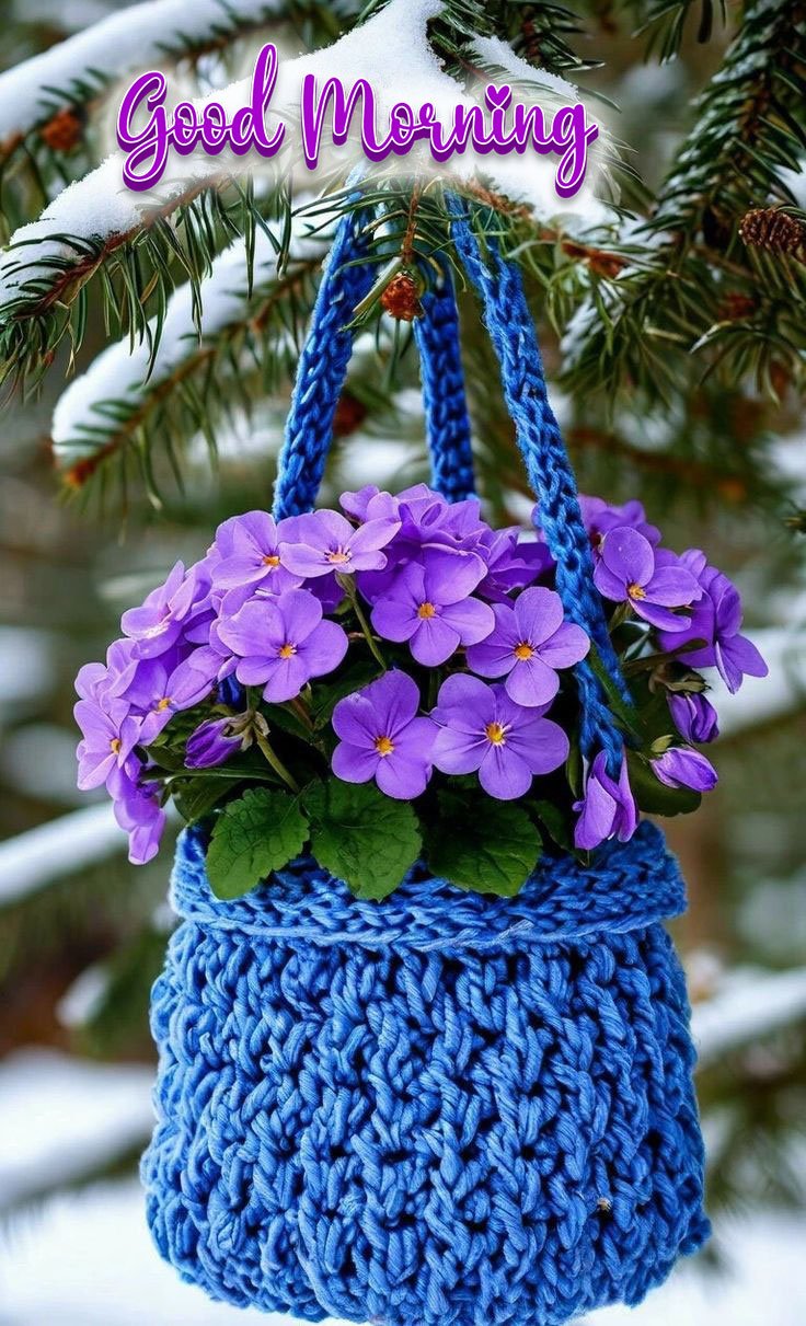 cute good morning pictures