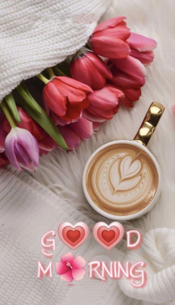 good morning pics to impress a girl