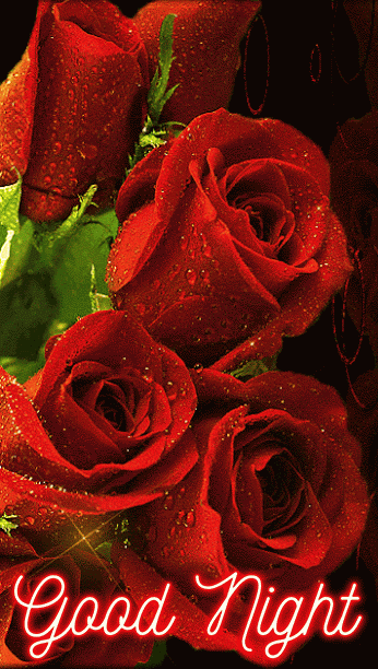 Good Night Beautiful Rose GIFs for love