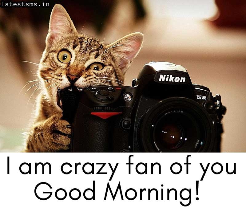 Best funny good morning texts wishes messages