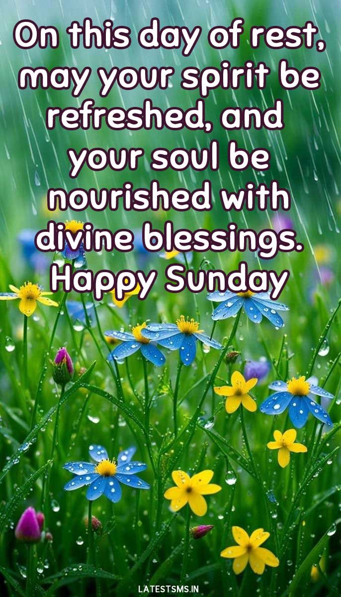 Blessed sunday wishes