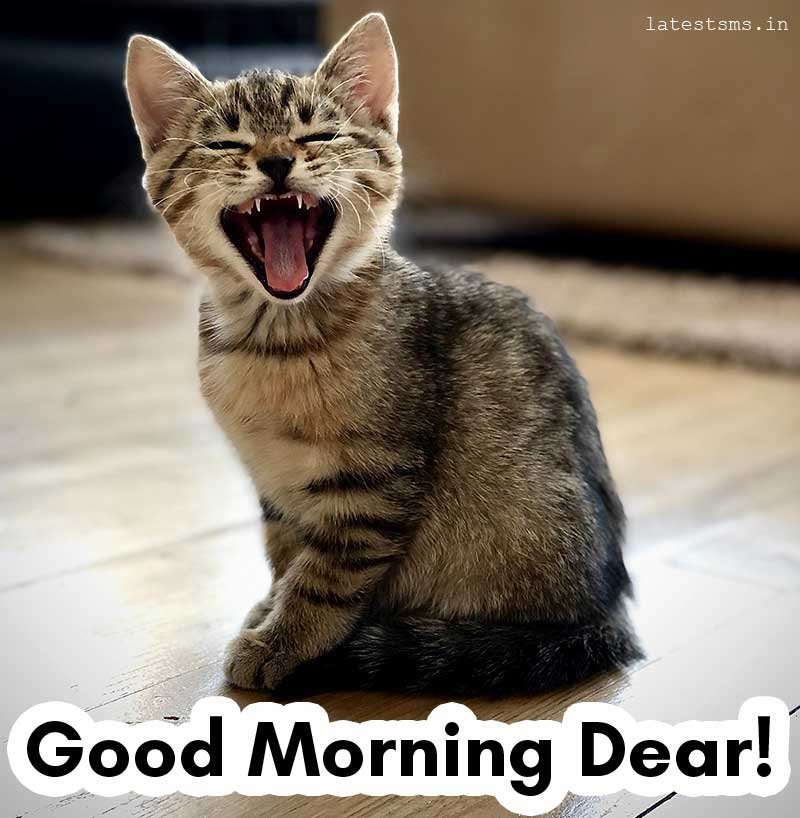 funny good morning for her