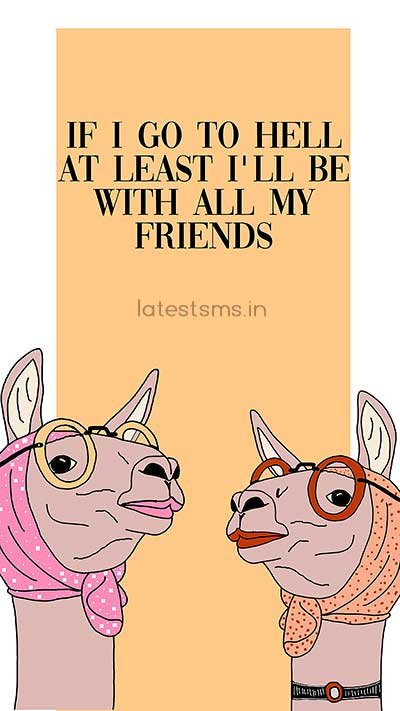 Funny friendship quotes